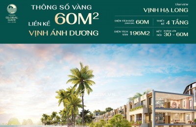 Quỹ căn hoàn thiện đặc biệt tại dự án Hạ Long Xanh